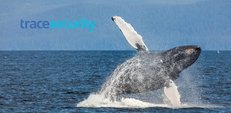 Social Engineering: Vishing for Whales tracesecurity