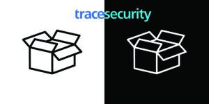 What is Black Box, White Box, and Gray Box Testing tracesecurity