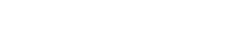 TraceSecurity